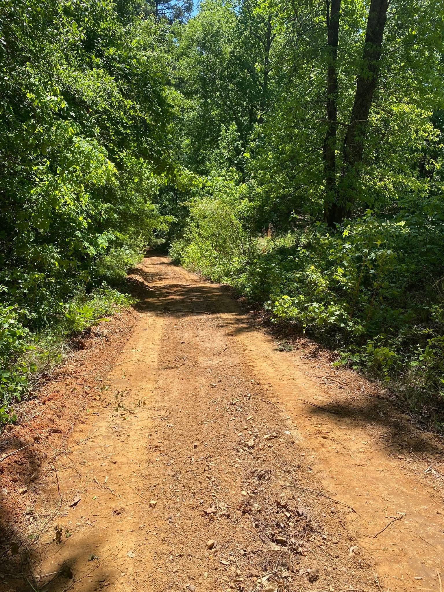 Driveways & Access